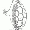 Schildkröten Ausmalbilder &amp; Malvorlagen: Animierte Bilder mit Ausmalbild Schildkröten