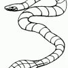 Schlangen Ausmalbilder | Animaatjes.de bei Ausmalbilder Schlangen