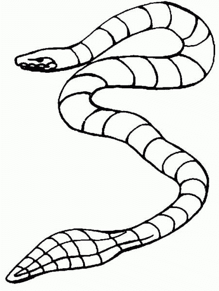 Schlangen Ausmalbilder | Animaatjes.de bei Ausmalbilder Schlangen