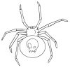 Spinne: Ausmalbilder &amp; Malvorlagen - 100% Kostenlos für Spinnen Zum Ausdrucken