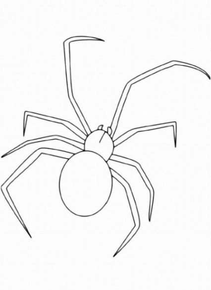 Spinnen Bilder Zum Ausdrucken bei Spinnen Zum Ausdrucken