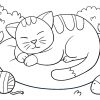 Susse Katze Ausmalbild - Ausmalbild Kostenlos in Ausmalbilder Babykatzen