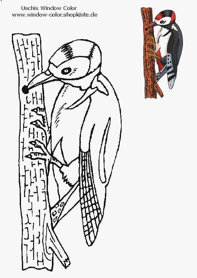 Tiere - Vorlagen 2 | Disney Zeichnen Anleitung, Vogel ganzes Vorlage Tiere Zeichnen
