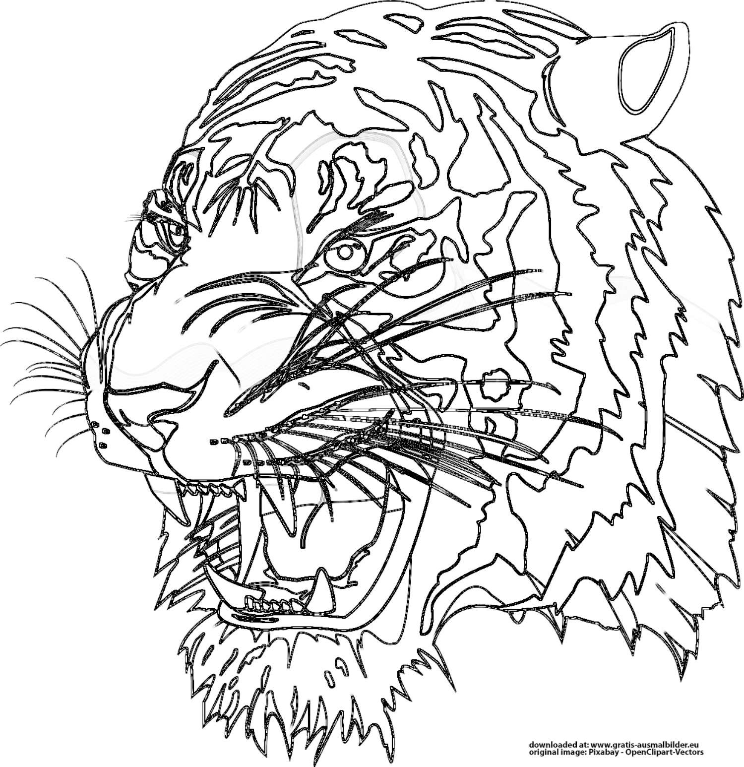 Tiger - Gratis Ausmalbild für Ausmalbild Tiere