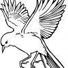 Vogel Malvorlage Zum Ausmalen | Coloring And Malvorlagan bestimmt für Amsel Ausmalbild