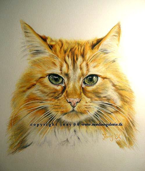 Www.kunstkurs-Onl | Katze Zeichnen, Tiere Malen, Buntstifte mit Süße Katze Zeichnen
