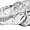 33 Dessins De Coloriage Jurassic Park À Imprimer Sur über Dessin Coloriage Jurassic World