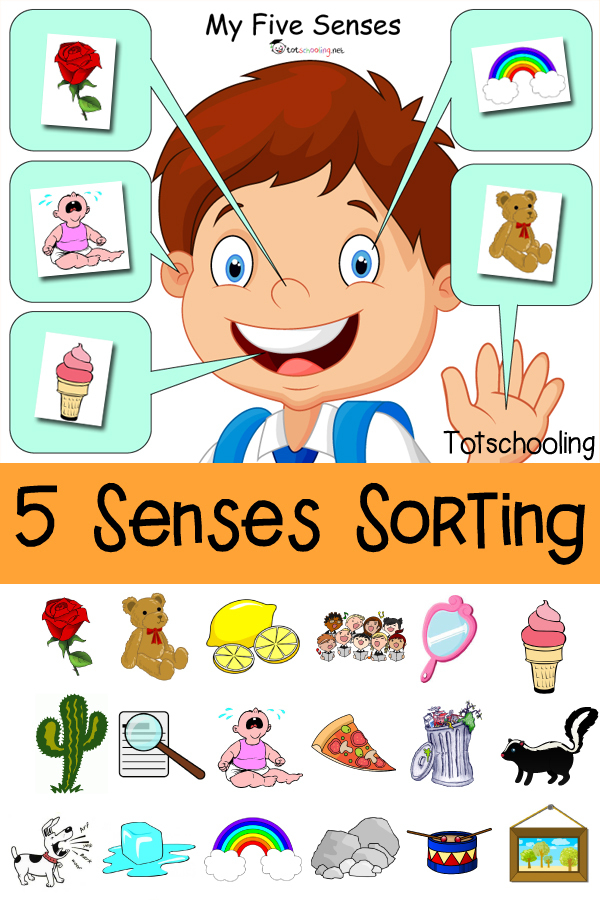 5 Senses Clipart Kindergarten, 5 Senses Kindergarten innen 5 Kinder Clipart