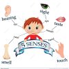 5 Senses Clipart Preschool, 5 Senses Preschool Transparent innen 5 Kinder Clipart