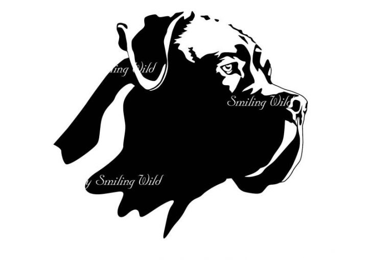 Cane Corso Vector Graphic Art Printable Png Svg Design verwandt mit Coloriage Dessin Cane Corso Cane Corso Vector Graphic Art Printable Png Svg Design verwandt mit Coloriage Dessin Cane Corso