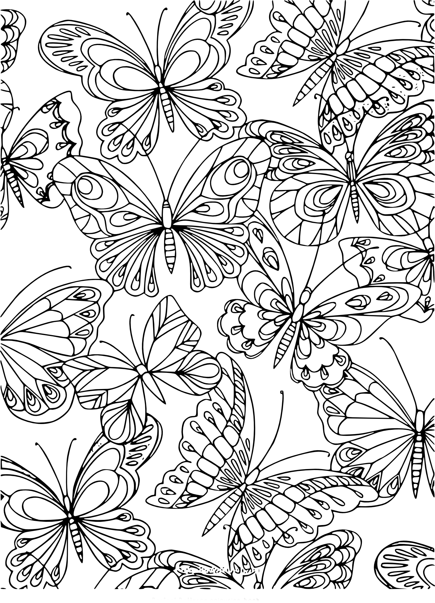 Coloriage Adulte Papillon À Imprimer verwandt mit Été Dessin À Colorier