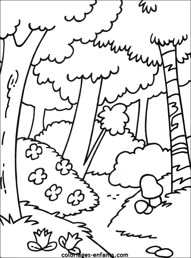 Coloriage Arbre À Imprimer Pour Les Enfants - Cp01368 verwandt mit Coloriage Dessin Arbre