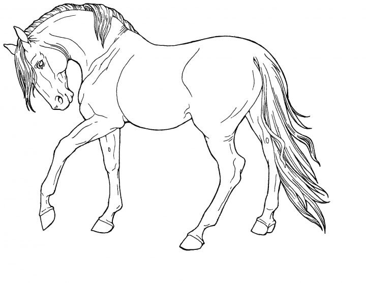 Coloriage Cheval. Grande Collection, 100 Pièces. Imprimer für Coloriage Dessin Cheval