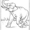 Coloriage Éléphant #6442 (Animaux) - Album De Coloriages in Dessin Coloriage Éléphant
