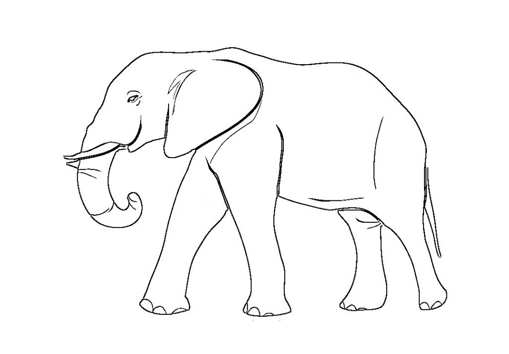 Coloriage Elephant A Imprimer Gratuit - Livre Coloriage innen Dessin Coloriage Éléphant