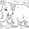Coloriage Éléphant D'Asie - Coloriages Gratuits À Imprimer für Dessin Coloriage Éléphant