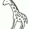 Coloriage Girafe 4 Sur Hugolescargot ganzes Coloriage Dessin Girafe