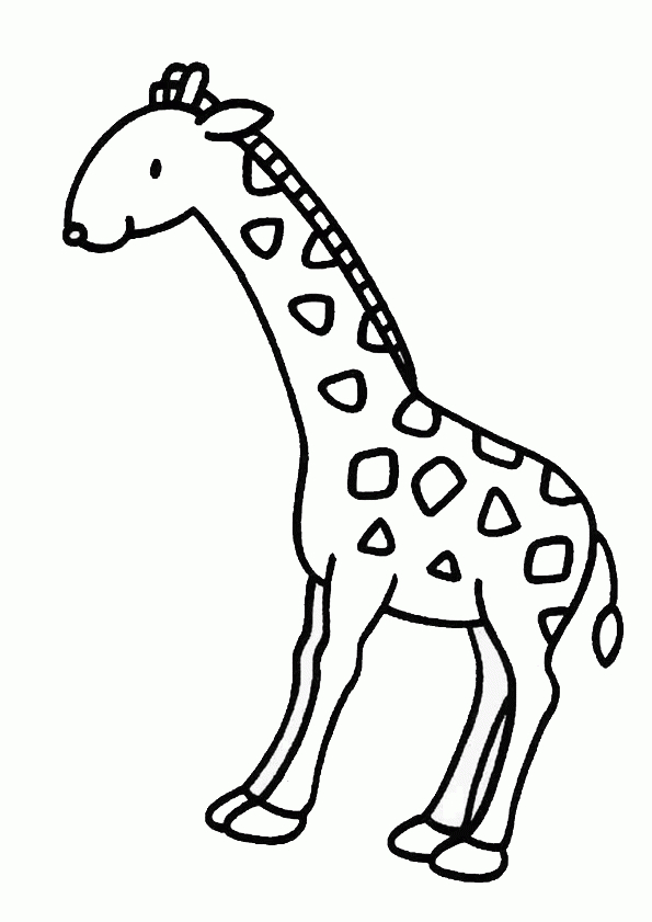 Coloriage Girafe 4 Sur Hugolescargot ganzes Coloriage Dessin Girafe