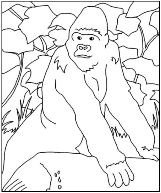 Coloriage Gorille Dans La Forêt Dessin Gratuit À Imprimer mit Coloriage Dessin Gorille