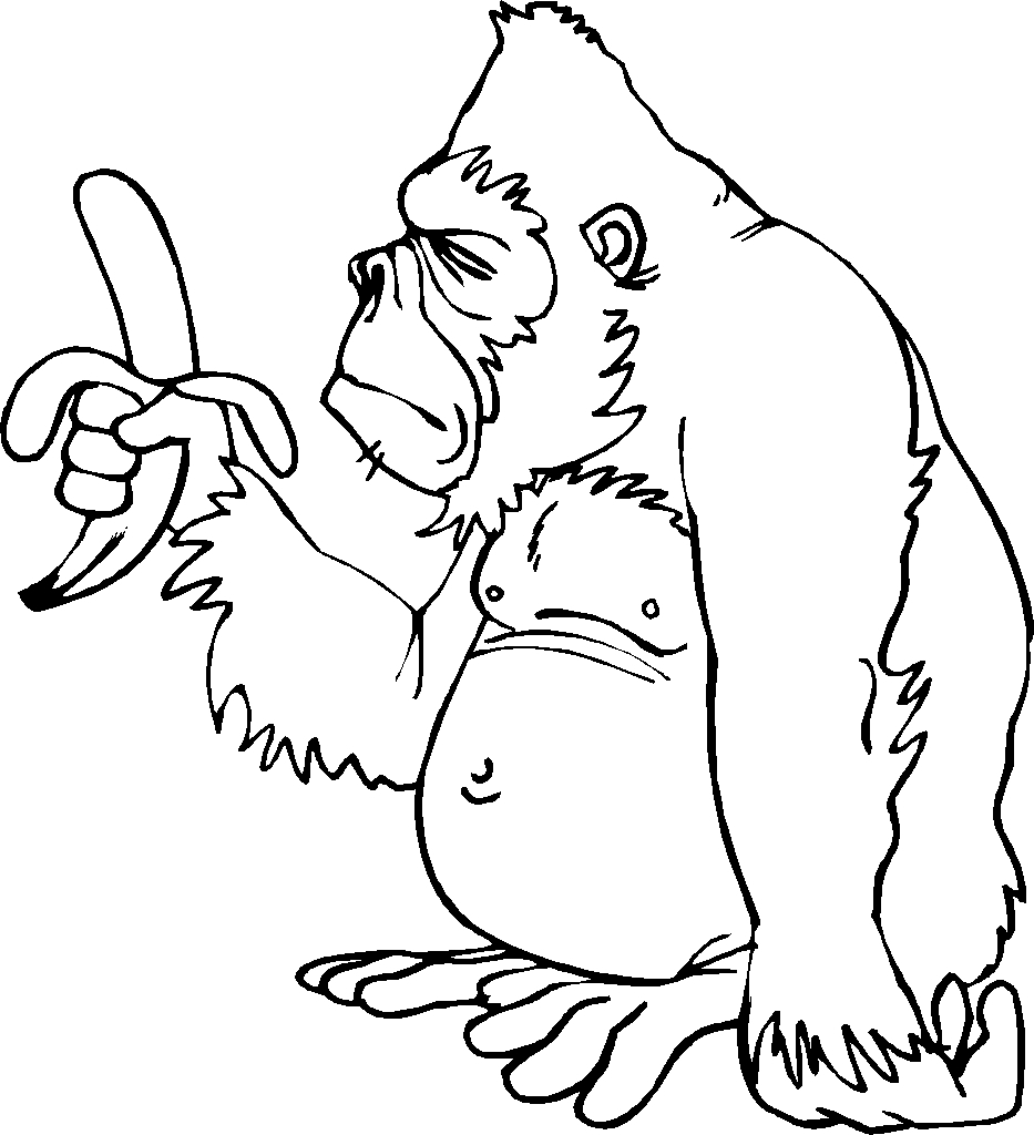Coloriage Gorille - Primanyc bestimmt für Coloriage Dessin Gorille