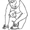 Coloriage Gorille - Primanyc verwandt mit Coloriage Dessin Gorille