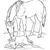 Coloriage Horseland #53922 (Dessins Animés) - Album De mit Coloriage Horseland