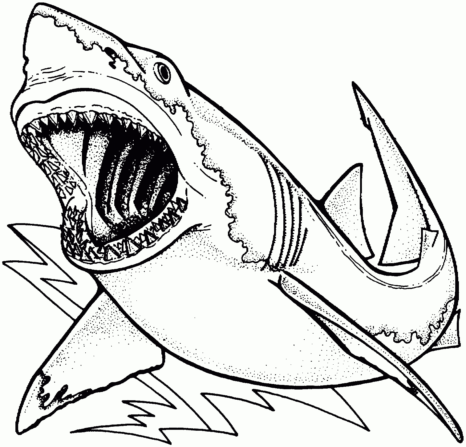 Coloriage Requin Gratuit Imprimer 1001 Animaux Dessin innen Coloriage Dessin Requin