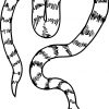 Coloriages À Imprimer : Serpent, Numéro : 256796 bei Coloriage Magique Lezard