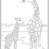 Coloriages Animaux Du Monde - Les Girafes ganzes Coloriage Dessin Girafe