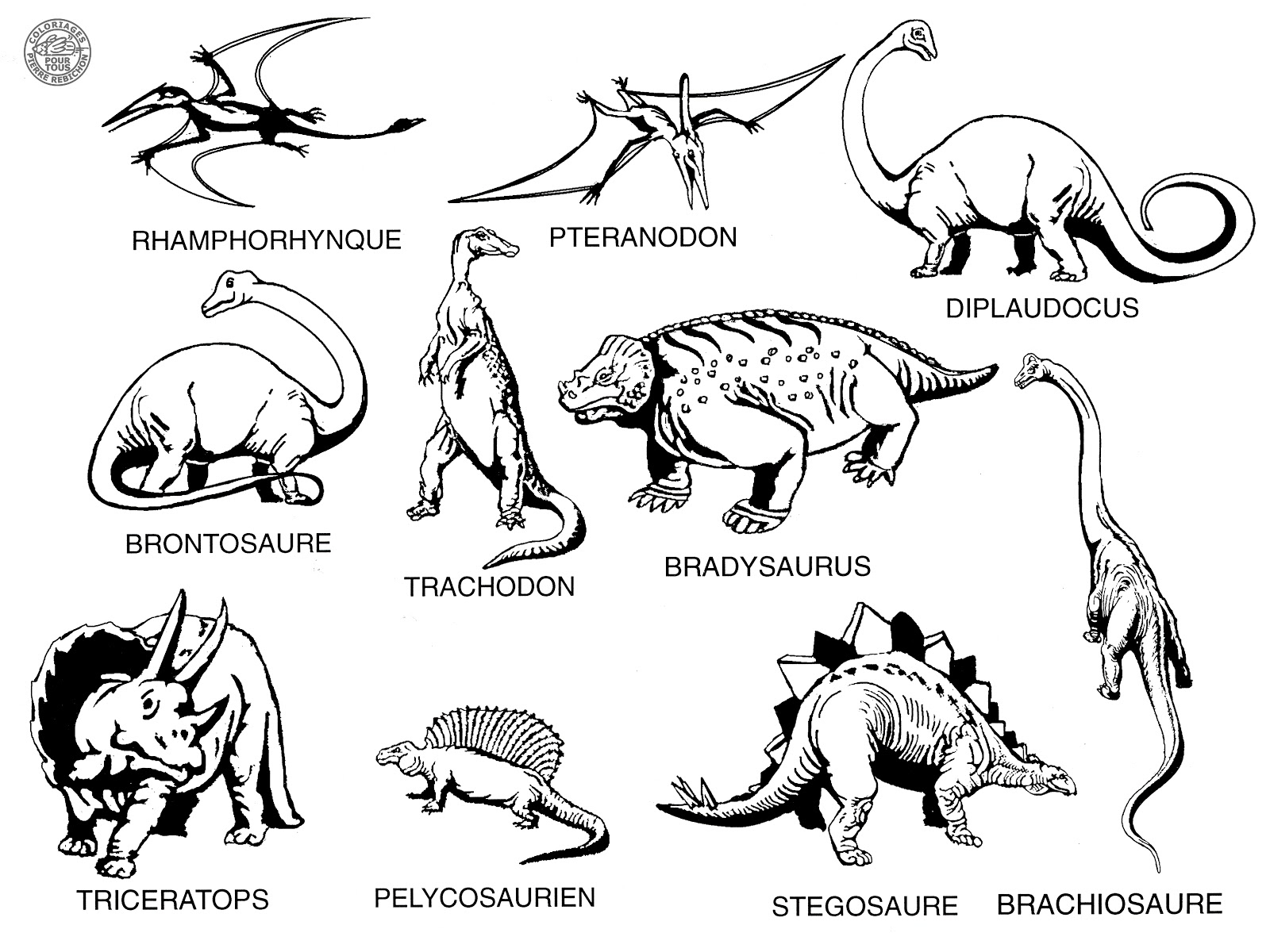 Coloriages Pour Tous: Les Dinosaures verwandt mit Coloriage Dessin Dinosaure