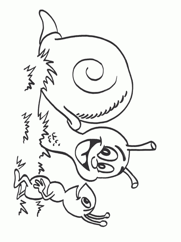 Coloring Page : Escargot - Coloring mit Escargot Dessin A Colorier
