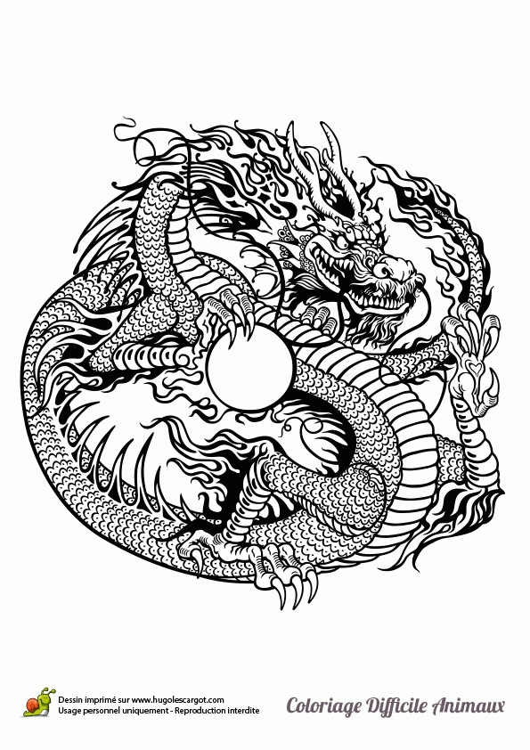 Dessin À Colorier D'Un Dragon Chinois verwandt mit Coloriage Dessin Chinois