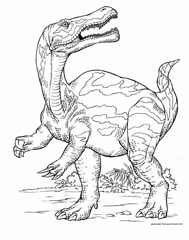 Dinosaure - Colorator - Coloriages Pour Les Enfants. verwandt mit Coloriage Dessin Dinosaure