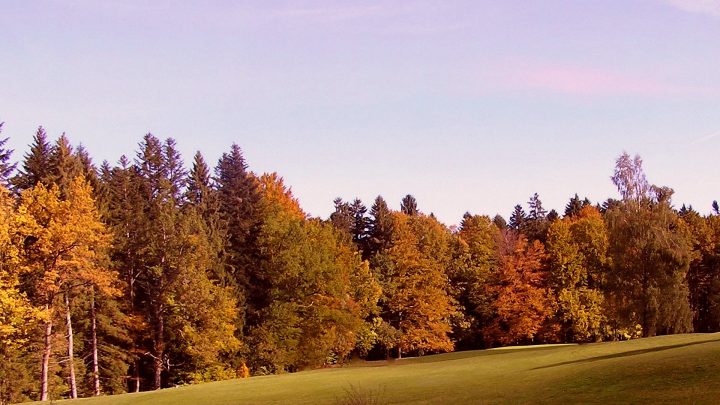 Herbstbilder Kostenlos Herunterladen über Herunterladen Bilder