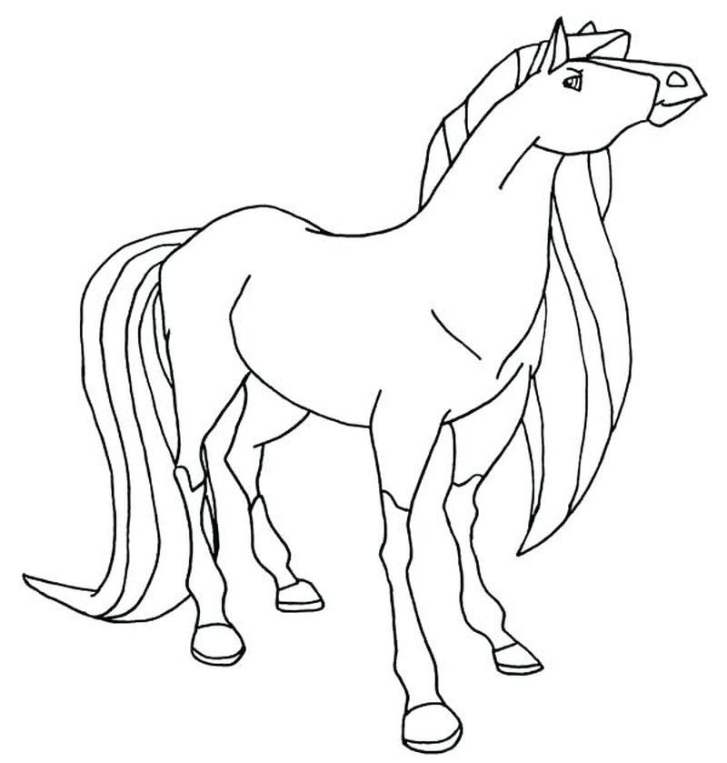 Horseland Sunburst - Printable Coloring Pages To Print über Coloriage Horseland