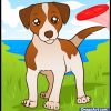 How To Draw A Jack Russell Terrier, Step By Step, Pets bestimmt für Dessin Coloriage Jack Russel