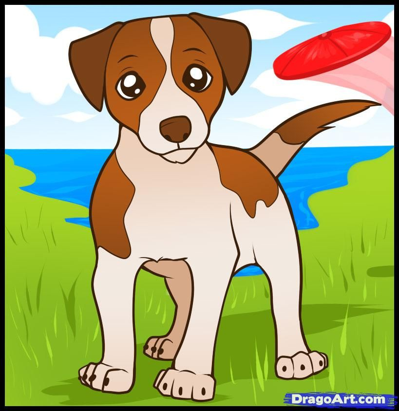 How To Draw A Jack Russell Terrier, Step By Step, Pets bestimmt für Dessin Coloriage Jack Russel