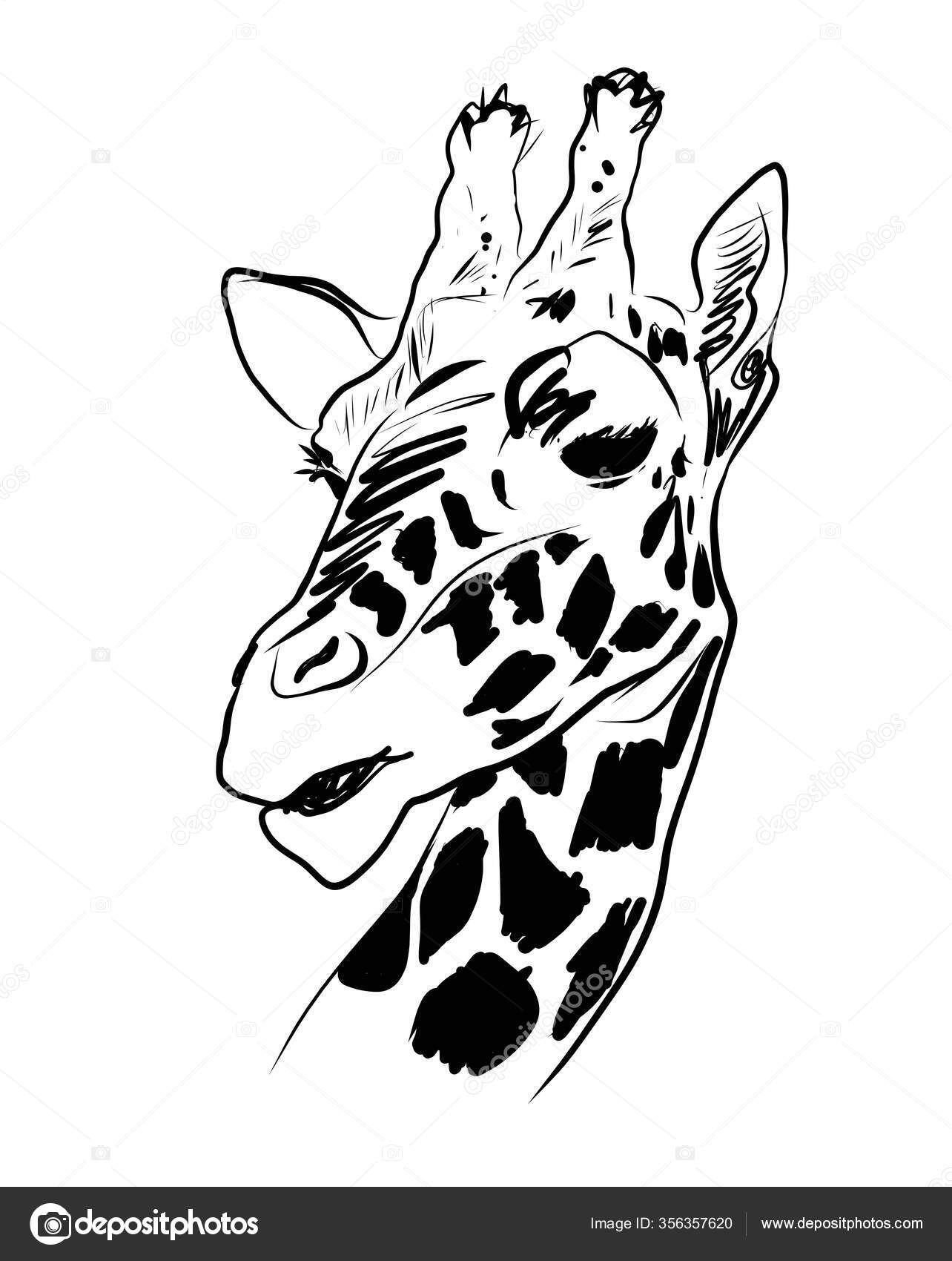 Illustration Graphique Vectorielle De Tête De Girafe Noir verwandt mit Coloriage Dessin Girafe