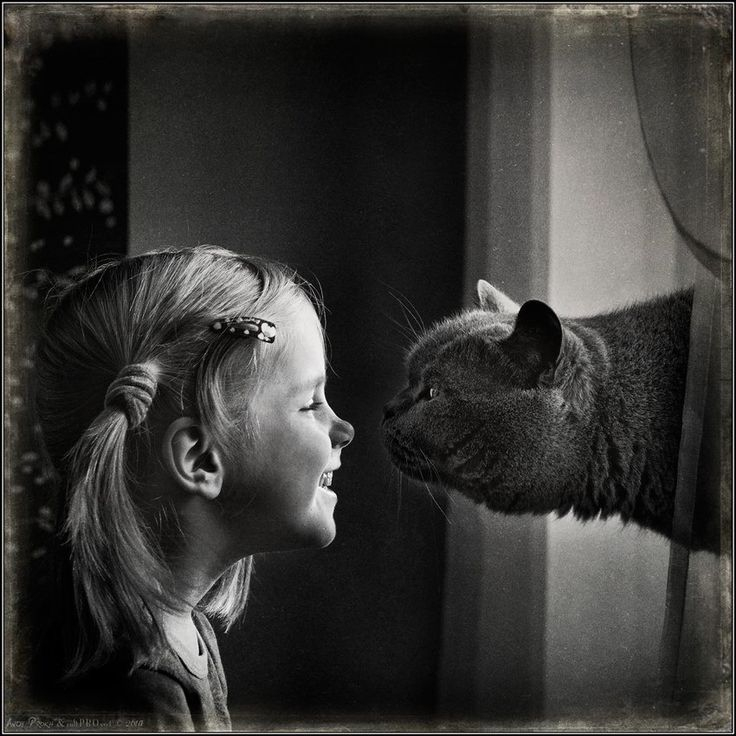 Instagram | Foto Kinder, Kinder Tiere, Katzen Fotos mit Kinder Bilder Instagram