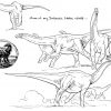 Jurassic Park : A La Recherche Des Dessins Animés Perdus bestimmt für Coloriage Jurassic World Dessin Animé