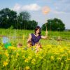 Kinder Mit Mutternetzen Fangen Schmetterlinge — Stockfoto bestimmt für Kinder Bilder Rapsfeld