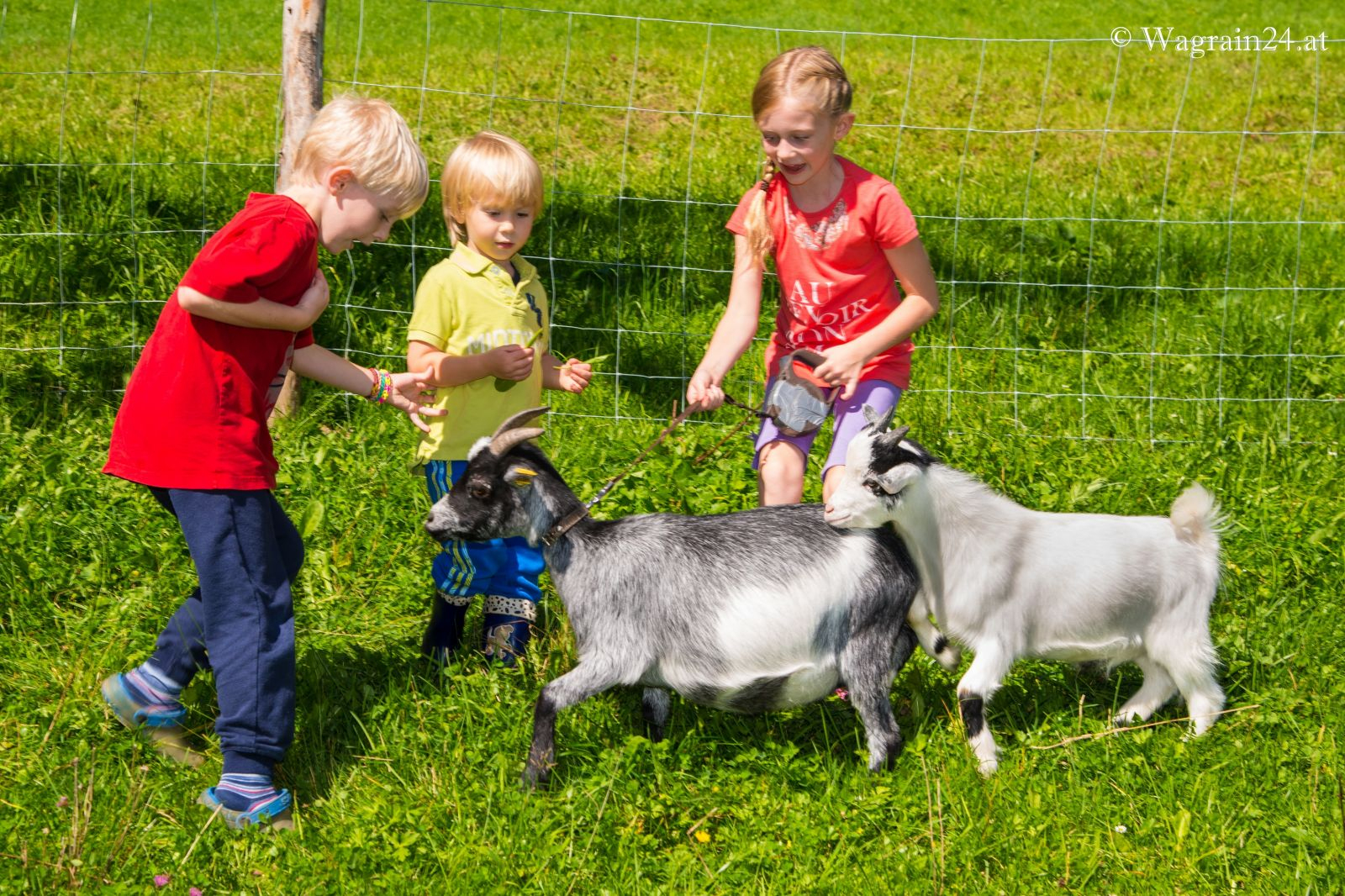 Kinder Mit Tieren Am Bauernhof - Schönlehen - 15 Bilder verwandt mit Bauernhof Kinder Bilder