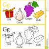 Livre De Coloriage Pour Des Enfants - Alphabet G in G Dessin