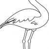 New 14 Coloriage Flamant Rose | Flamingo Coloring Page verwandt mit Coloriage Dessin Flamant Rose