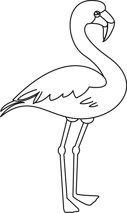 New 14 Coloriage Flamant Rose | Flamingo Coloring Page verwandt mit Coloriage Dessin Flamant Rose