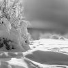 Schnee Und Winter Bilder - Schwarzweiss - Schöne Naturbilder für Kinder Bilder Schwarz Weiß