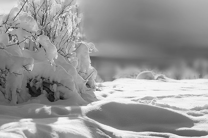 Schnee Und Winter Bilder - Schwarzweiss - Schöne Naturbilder für Kinder Bilder Schwarz Weiß