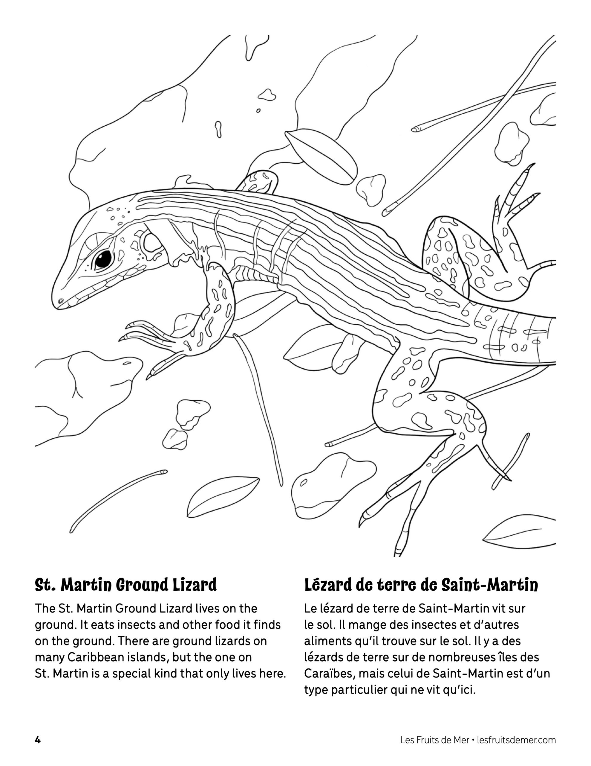 St. Martin Ground Lizard Coloring Page - Coloriage De verwandt mit Coloriage De Lézard