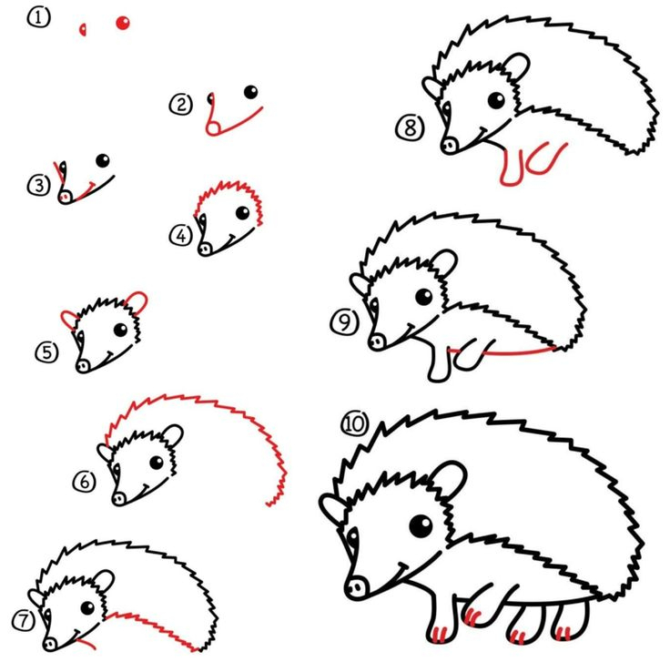 Tiere Malen Und Zeichnen - Einfache Anleitungen Für Kinder in Kinder Bilder Zeichnen