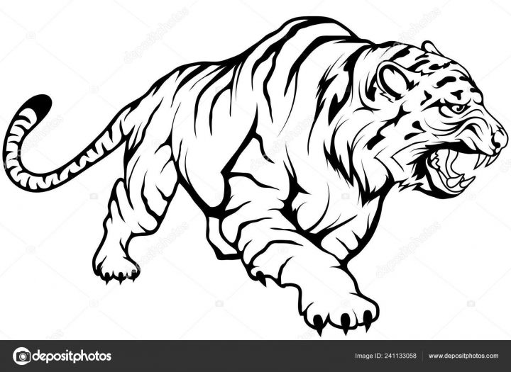 Tigre Vecteur Dessin Croquis Tigre Dessin Pleine verwandt mit Y En Dessin